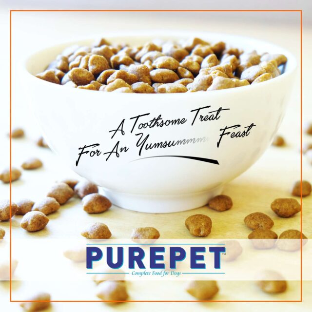 Purepet Mackerel Adult Cat Dry Food (1kg | 6kg | 20kg) - Image 3