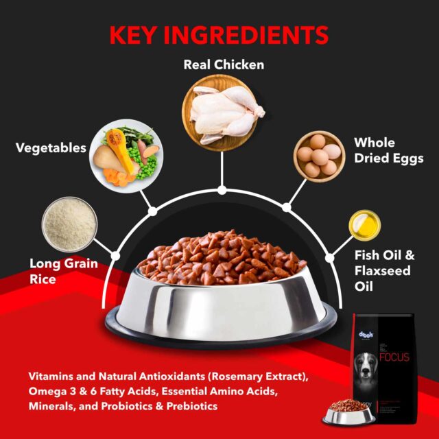 Drools Focus Puppy Super Premium Dry Dog Food (1.2 kg | 4 kg | 12 kg) - Image 3