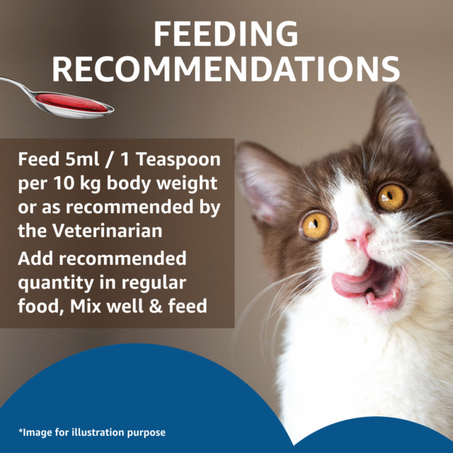 Drools Absolute Salmon Oil Syrup for Cats – 150 ml - Image 4
