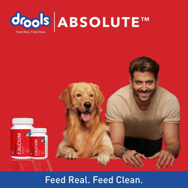 Drools Absolute Calcium Tablet – Dog Supplement (50 Pieces | 110 Pieces) - Image 2