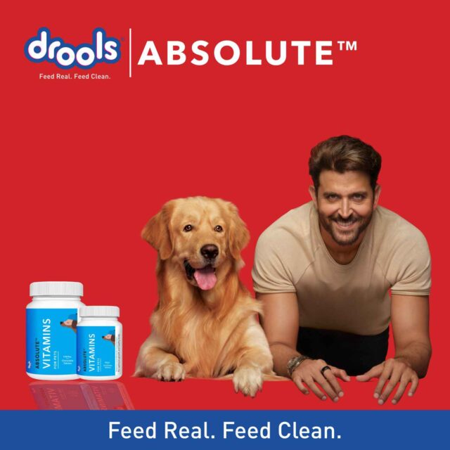 Drools Absolute Vitamin Tablet – Dog Supplement (50 Pieces | 110 Pieces) - Image 7