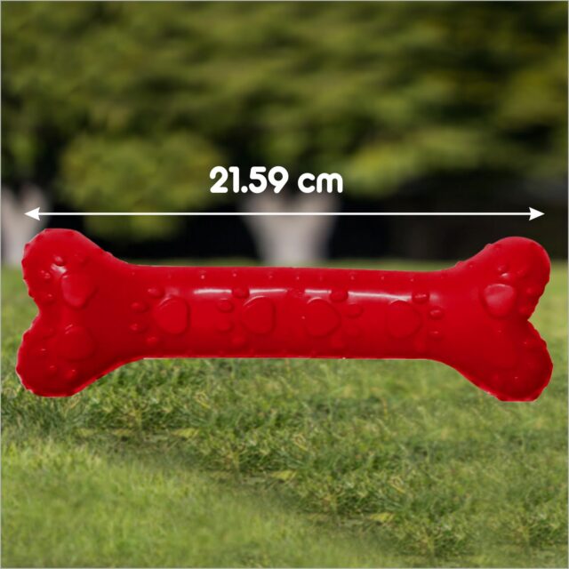 Drools Non-Toxic Rubber Dog Chew Bone Toy (Large | Medium) - Image 6