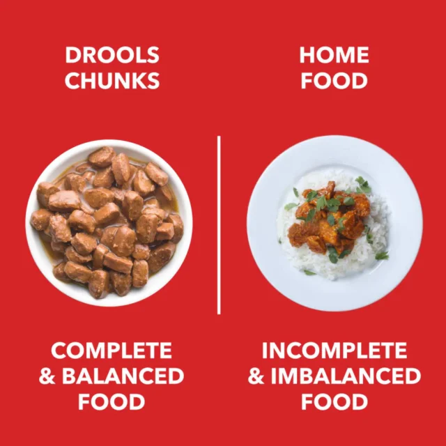 Drools Puppy Wet Dog Food, Real Chicken and Chicken Liver Chunks in Gravy - Image 5