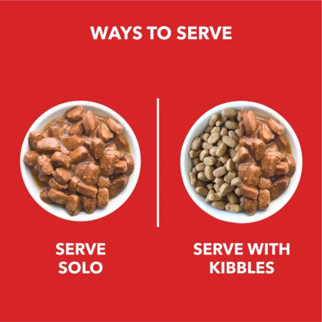 Drools Puppy Wet Dog Food, Real Chicken and Chicken Liver Chunks in Gravy - Image 6