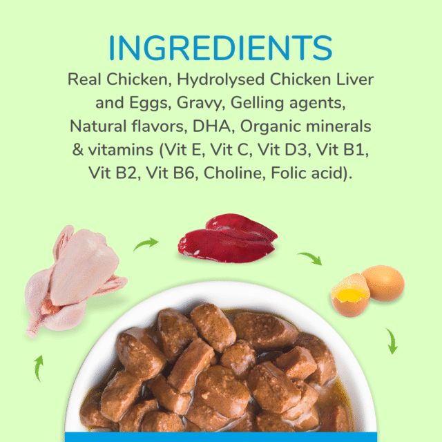 Canine Creek Real Chicken Gravy for Adult Wet Dog Food – 150 g (Pack of 1 | 6 | 15) - Image 3