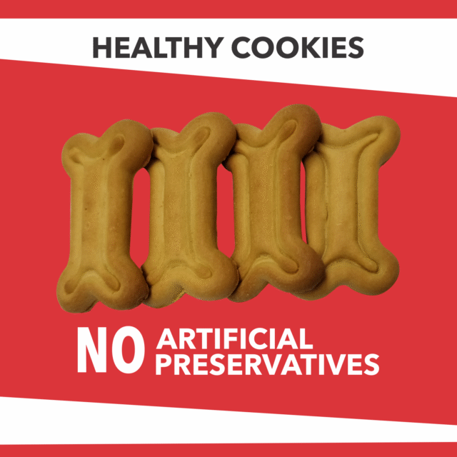 Baked Delights Chicken Flavour – Real Chicken Baked Cookies, Bone Shaped Dog Treats, 800 g - Image 5