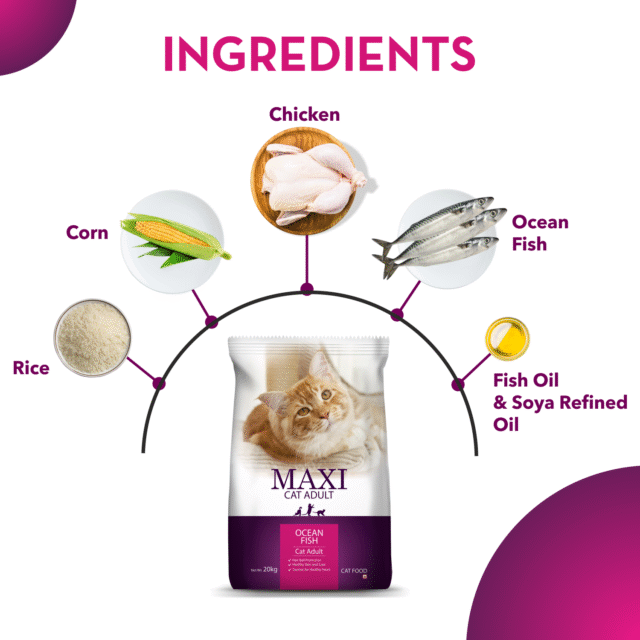 Maxi Adult Dog Dry Food – Ocean Fish (20kg) - Image 4