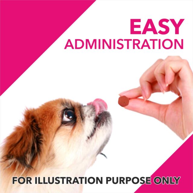Drools Absolute Skin + Coat Tablet – Dog Supplement (50 Pieces | 110 Pieces) - Image 5