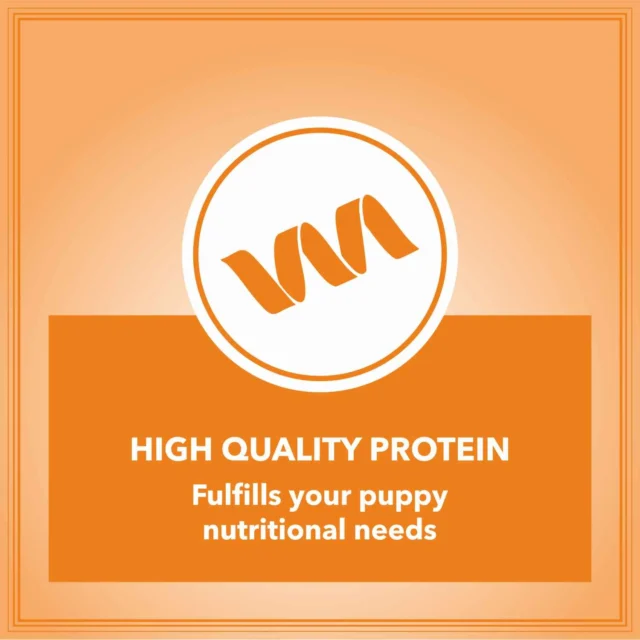 Let's Bite Active Puppy Chicken Dog Dry Food  – 10kg (+1kg Free Inside) - Image 7