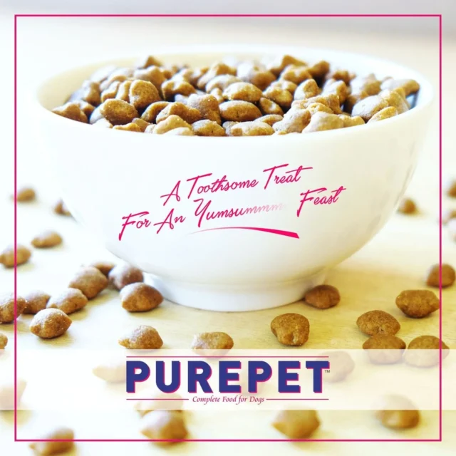 Purepet Tuna and Salmon Adult Cat Dry Food (1kg | 2.8kg | 6kg) - Image 4