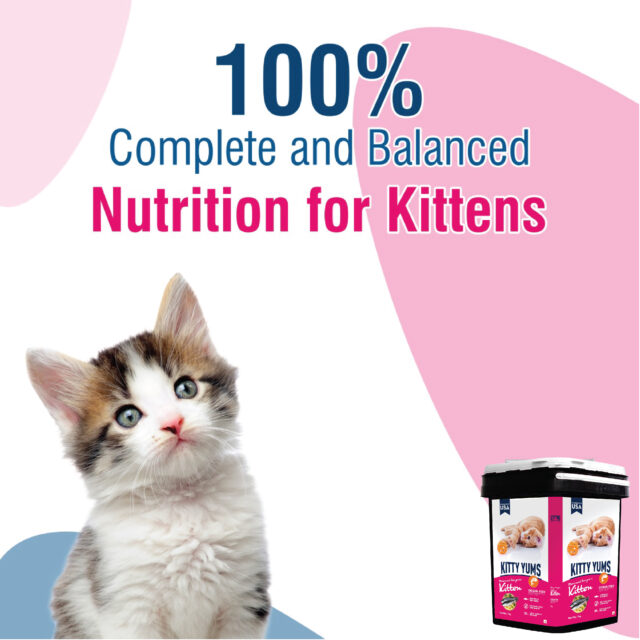 Kitty Yums Ocean Fish - Kitten Dry Cat Food - 7kg (Inside Container) - Image 2