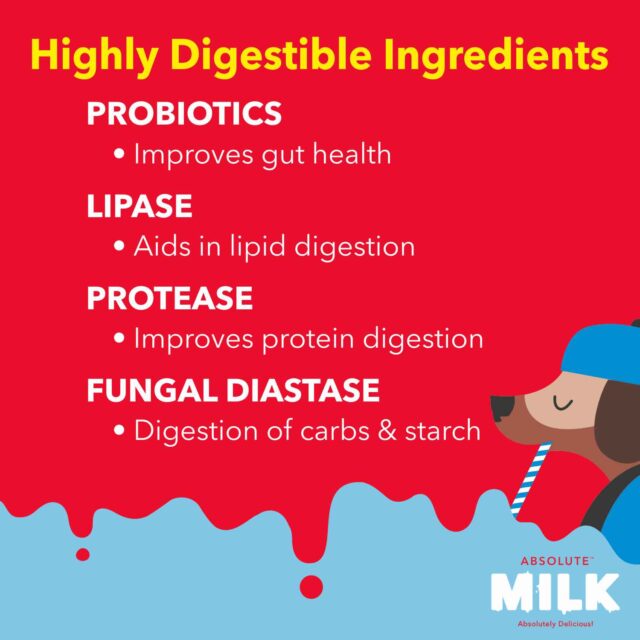 Drools Absolute Milk for Newborn Puppies – 500 g - Image 6