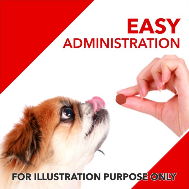Drools Absolute Calcium Tablet – Dog Supplement (50 Pieces | 110 Pieces) - Image 5