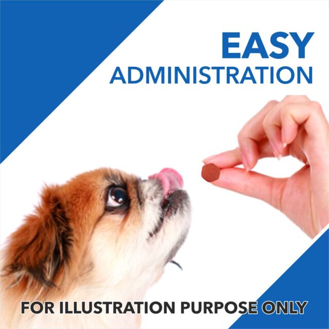 Drools Absolute Vitamin Tablet – Dog Supplement (50 Pieces | 110 Pieces) - Image 3
