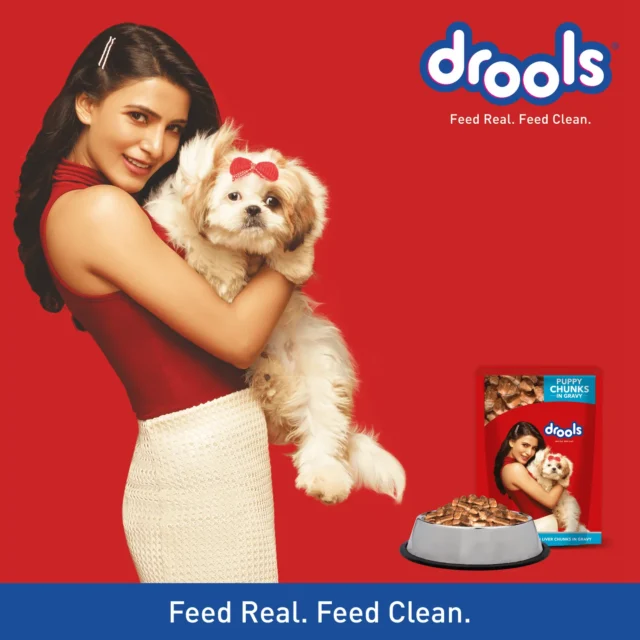 Drools Puppy Wet Dog Food, Real Chicken and Chicken Liver Chunks in Gravy - Image 3
