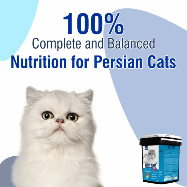Kitty Yums Ocean Fish - Persian Dry Cat Food - 7kg (Inside Container) - Image 3