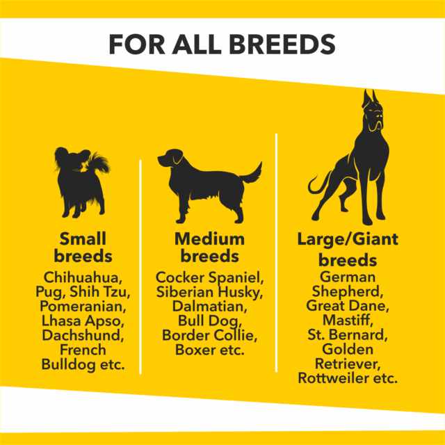 Baked Delights Chicken Flavour, Real Chicken Baked Cookies, Round Shaped – Dog Treats, 800 g - Image 6