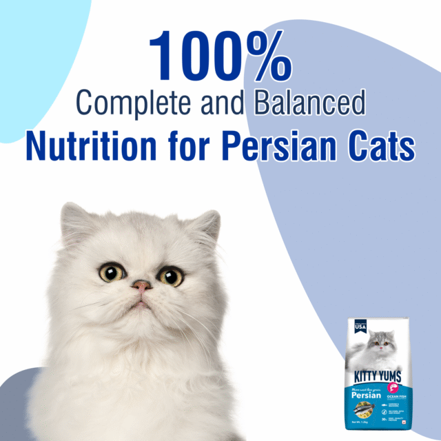 Kitty Yums Ocean Fish - Persian Cat Dry Food (1.2kg | 3kg | 7kg) - Image 2