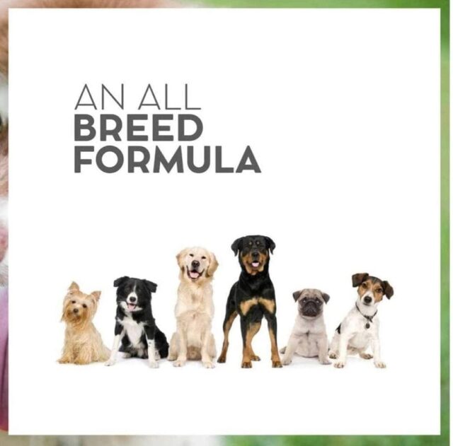 Drools VET-PRO Gastrointestinal Adult Dog Dry Food (3kg | 8kg) - Image 5