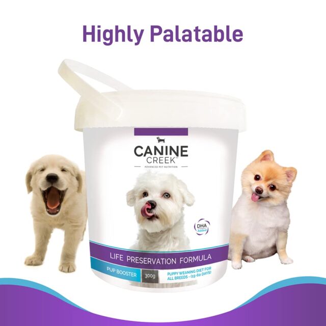 Canine Creek Pup Booster – Puppy Weaning Diet for All Breeds 300 g - Image 7