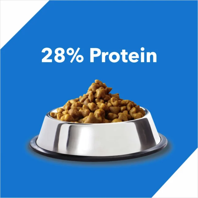Drools Dry Adult Cat Food – Real Mackerel, 7 kg + Free 5 kg Drools Cat Litter - Image 3