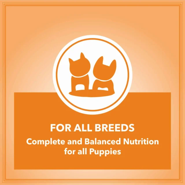 Let's Bite Active Puppy Chicken Dog Dry Food  – 10kg (+1kg Free Inside) - Image 6