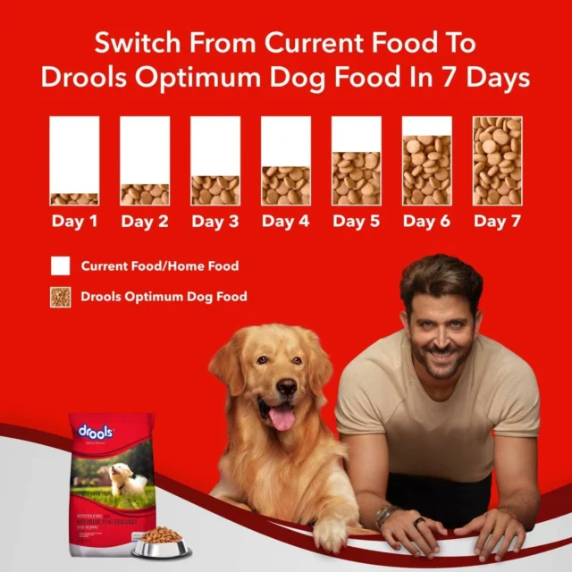 Drools Optimum Performance Puppy Dog Food, 20 kg - Image 5