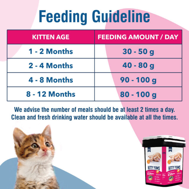 Kitty Yums Ocean Fish - Kitten Dry Cat Food - 7kg (Inside Container) - Image 4
