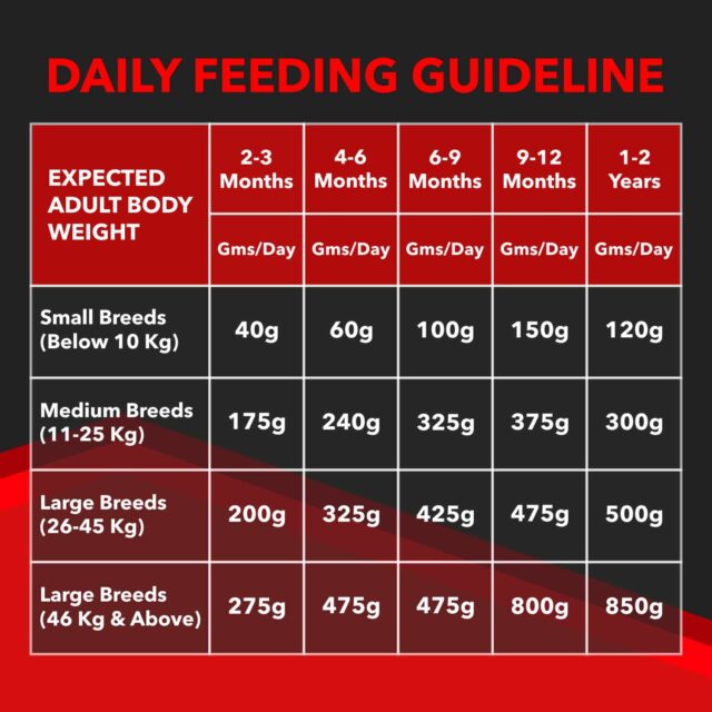 Drools Focus Puppy Super Premium Dry Dog Food (1.2 kg | 4 kg | 12 kg) - Image 6