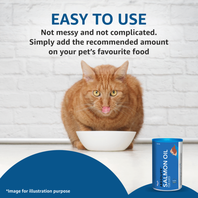 Drools Absolute Salmon Oil Syrup for Cats – 150 ml - Image 6