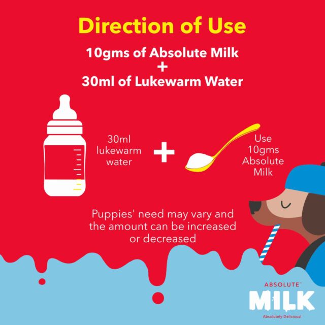Drools Absolute Milk for Newborn Puppies – 500 g - Image 5