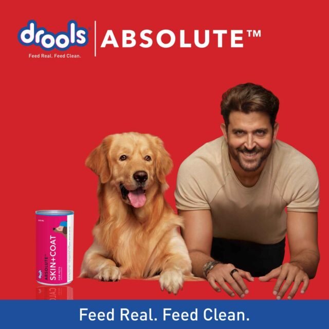 Drools Absolute Skin + Coat Syrup – Dog Supplement (300 ml) - Image 7