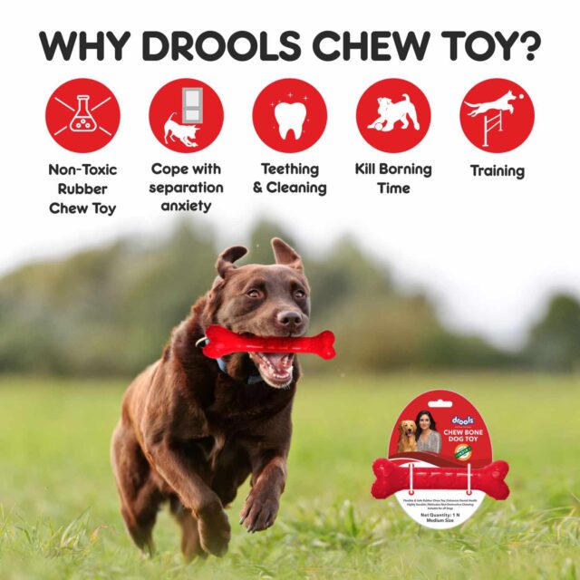Drools Non-Toxic Rubber Dog Chew Bone Toy (Large | Medium) - Image 7