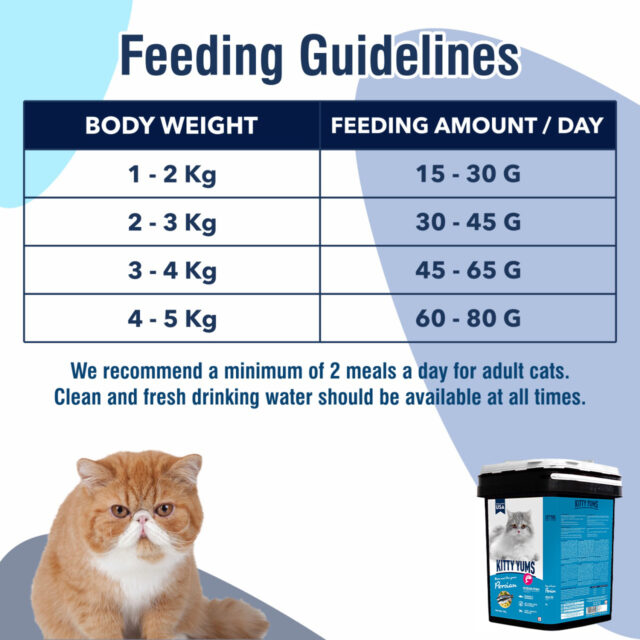 Kitty Yums Ocean Fish - Persian Dry Cat Food - 7kg (Inside Container) - Image 5