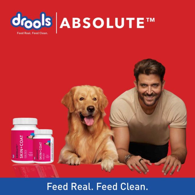 Drools Absolute Skin + Coat Tablet – Dog Supplement (50 Pieces | 110 Pieces) - Image 4