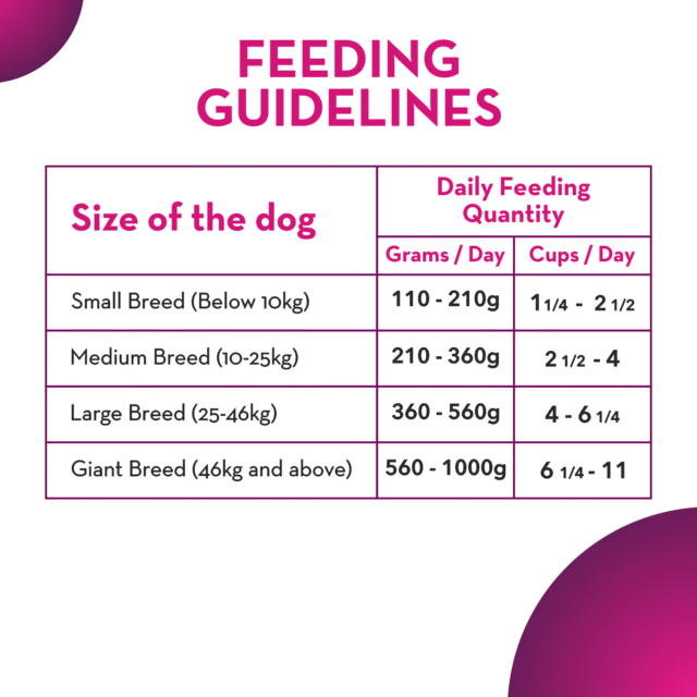 Maxi Adult Dog Dry Food – Chicken & Liver (20kg) - Image 5