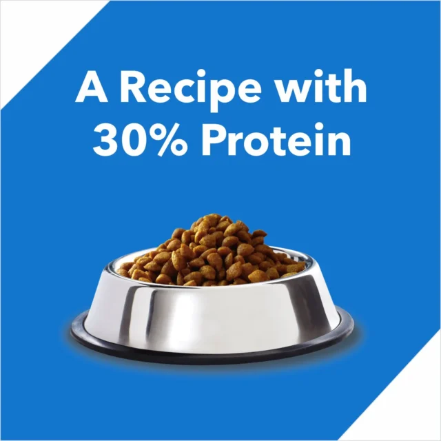 Drools Kitten Dry Cat Food - Ocean Fish (400 g | 3 kg) - Image 3