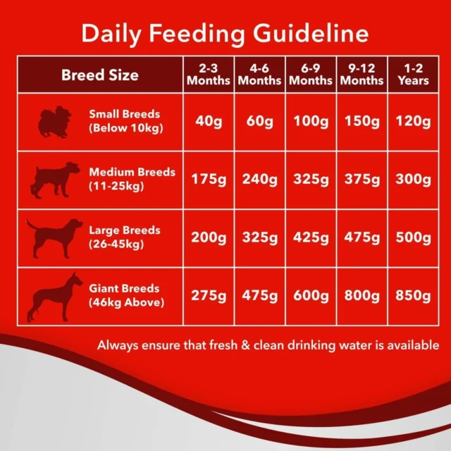 Drools Optimum Performance Puppy Dog Food, 20 kg - Image 6