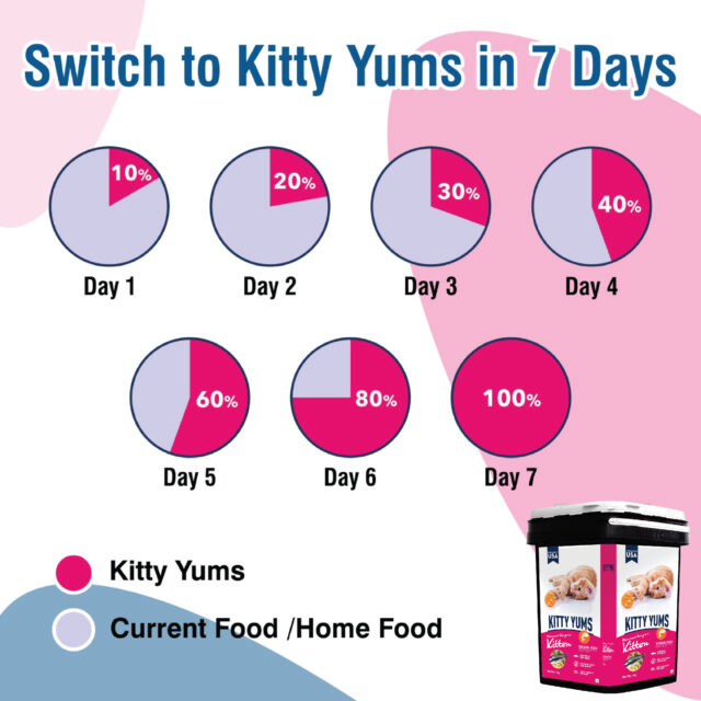 Kitty Yums Ocean Fish - Kitten Dry Cat Food - 7kg (Inside Container) - Image 3
