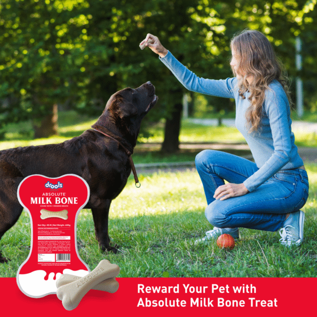 Drools Absolute Milk Bone Jar – Dog Treats (300 g – 20 Pieces | 600 g – 40 Pieces) - Image 5