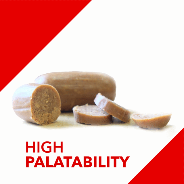 Drools Absolute Calcium Sausage Dog Supplement – Jar - Image 6