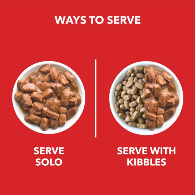 Drools Adult Wet Dog Food, Real Chicken and Chicken Liver Chunks in Gravy - Image 4