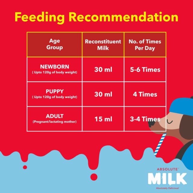 Drools Absolute Milk for Newborn Puppies – 500 g - Image 3