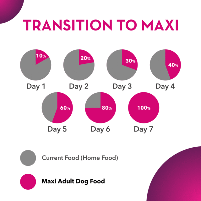 Maxi Adult Dog Dry Food – Chicken & Liver (20kg) - Image 2