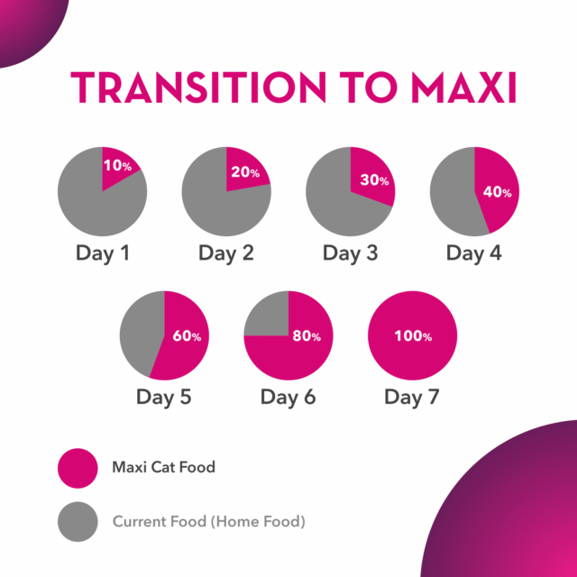 Maxi Adult Dog Dry Food – Ocean Fish (20kg) - Image 6