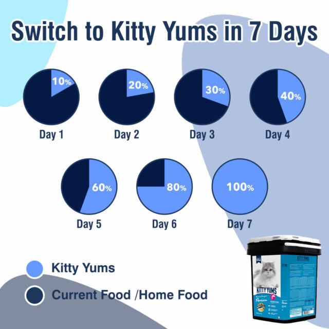 Kitty Yums Ocean Fish - Persian Dry Cat Food - 7kg (Inside Container) - Image 2