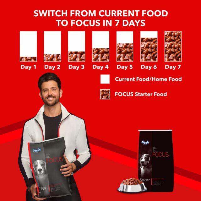 Drools Focus Starter Super Premium Dry Dog Food (1.2 kg | 4 kg | 12 kg) - Image 4