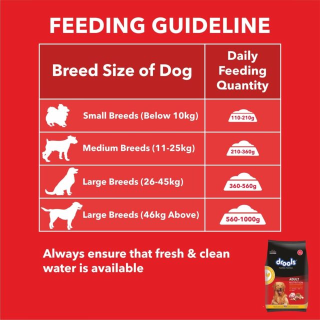 Drools Chicken and Egg Adult Dry Dog Food - (1.2kg | 3kg | 10kg | 20kg) - Image 6