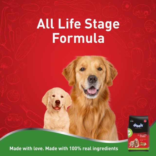 Drools All Lifestages 100% Veg Dry Dog Food – (1.2kg | 3kg) - Image 2
