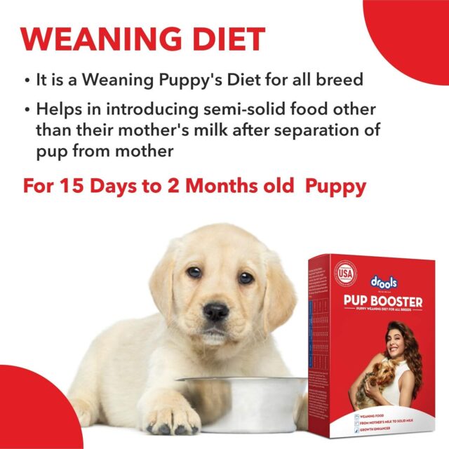 Drools Pup Booster – Puppy Weaning Diet for All Breeds, 300 g - Image 4